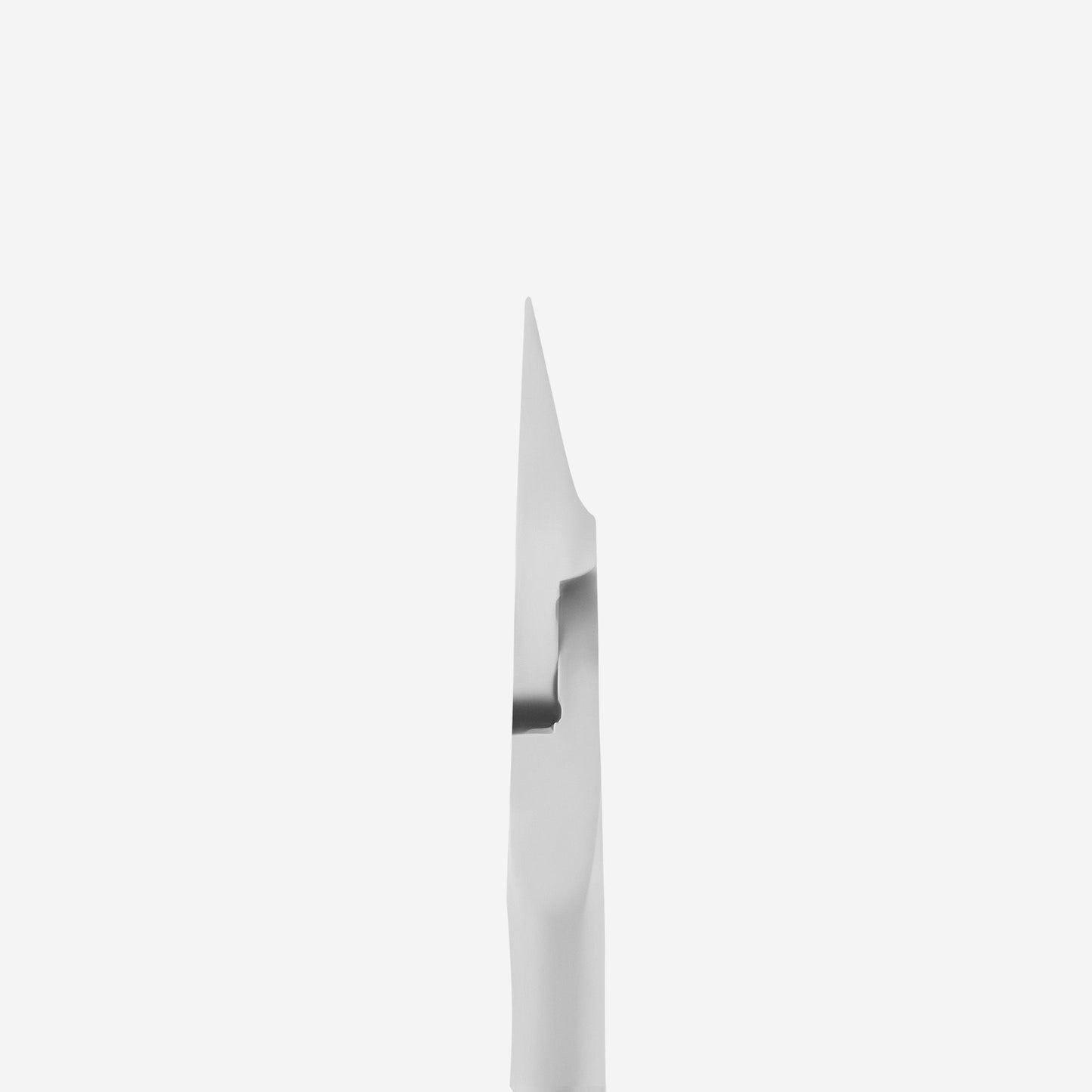 STALEKS PRO Expert Nail Nippers, model NE-61-12 (12mm edge)