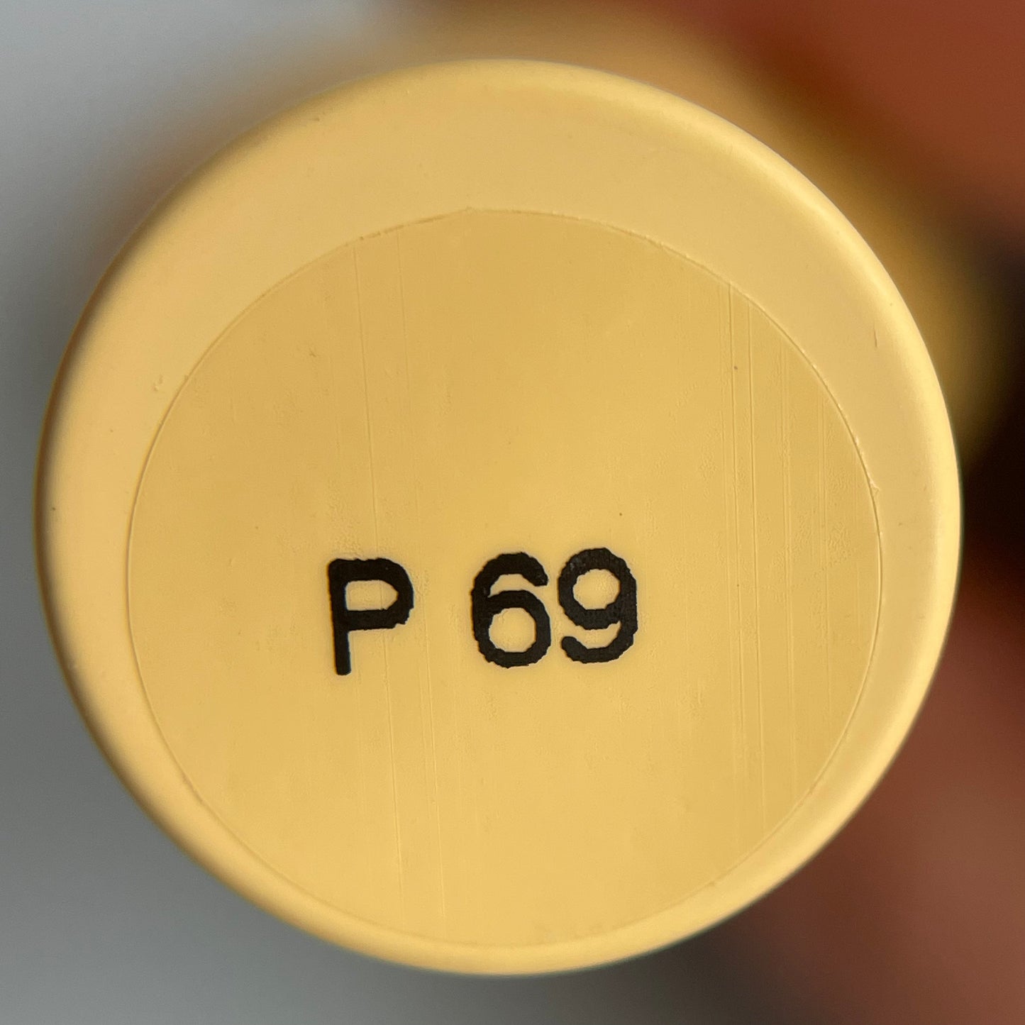 PLIY Gel Color P69 (10 g)