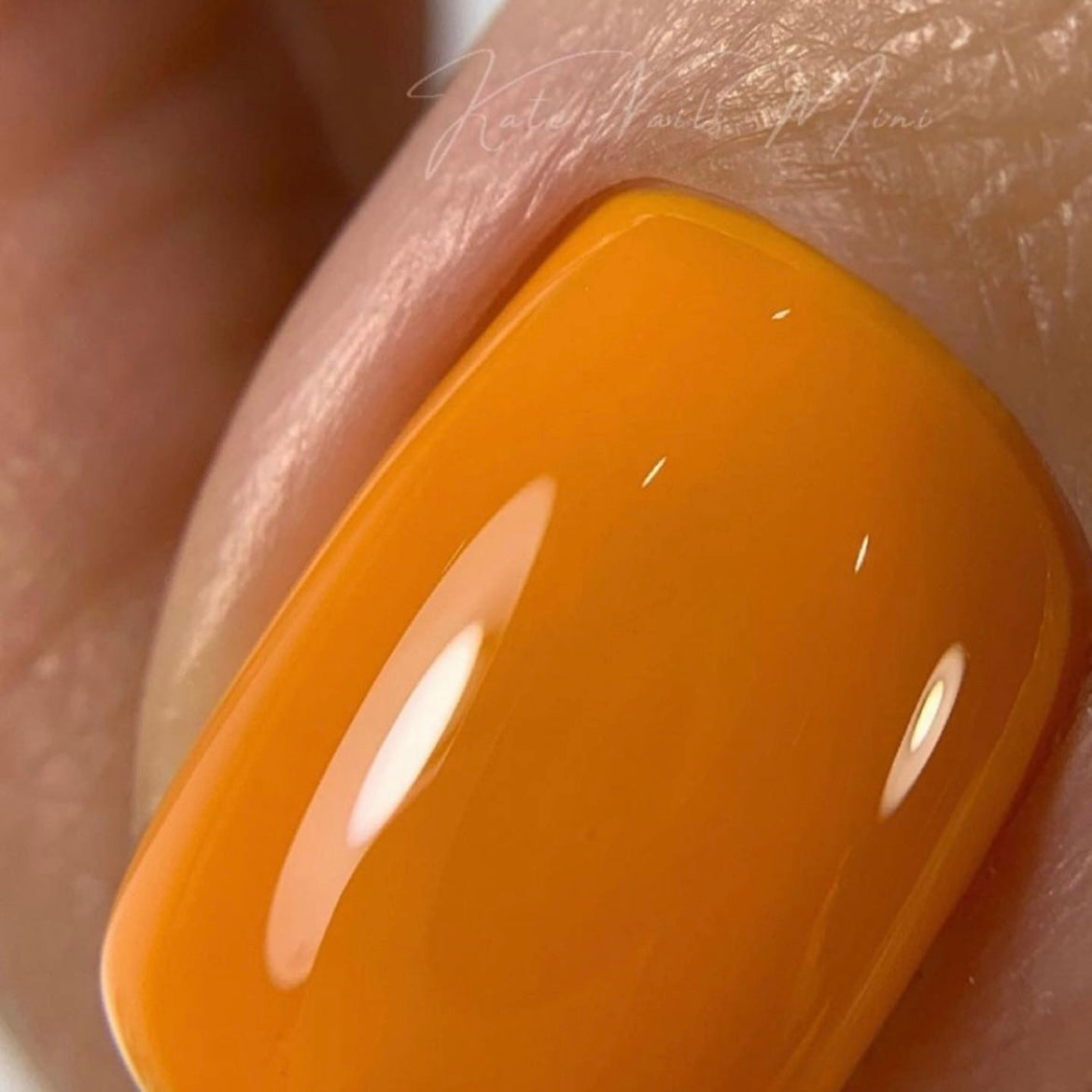 LUXIO by AKZENTZ - INSTINCT Gel Color