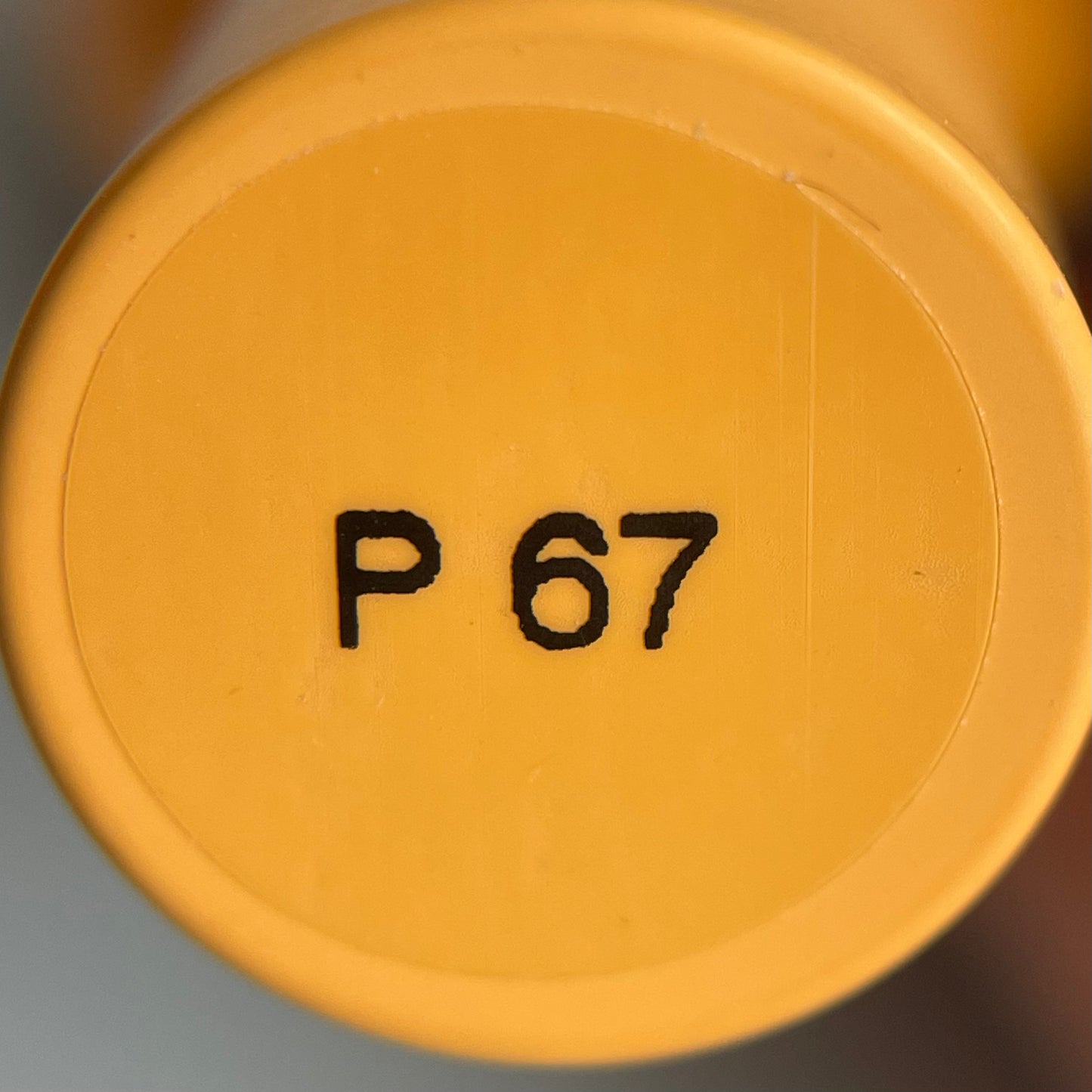 PLIY Gel Color P67 (10 g)