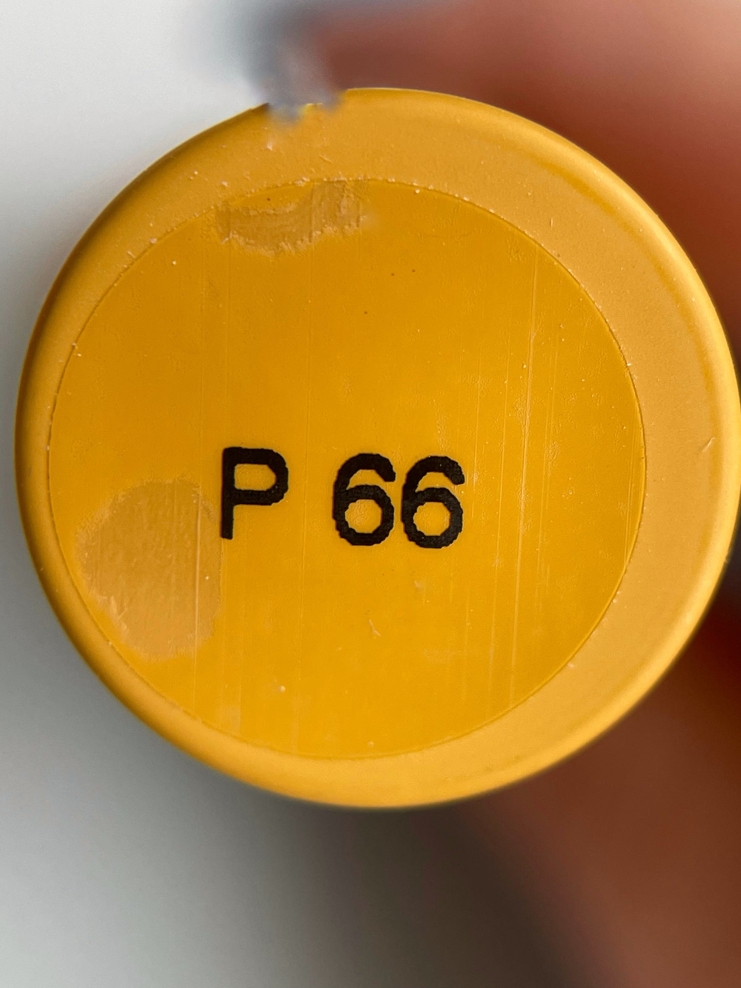 PLIY Gel Color P66 (10 g)