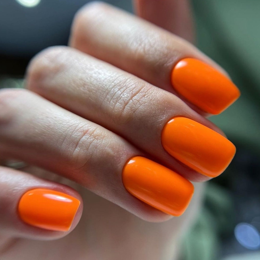 LUXIO by AKZENTZ - SHOCK Gel Color
