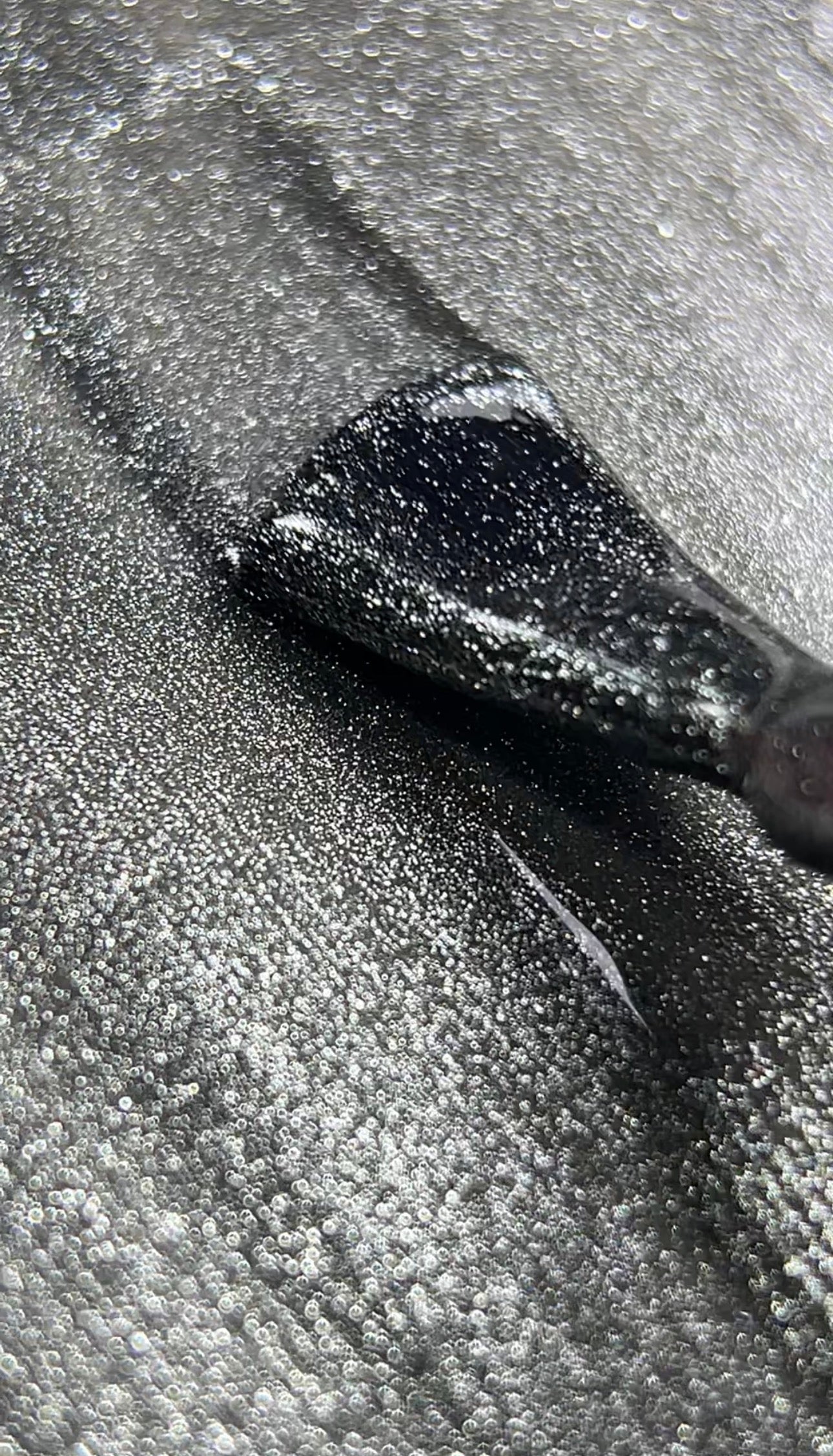 FARB ILLUSION CATS #3 Professional UV/LED Gel (11 ml)