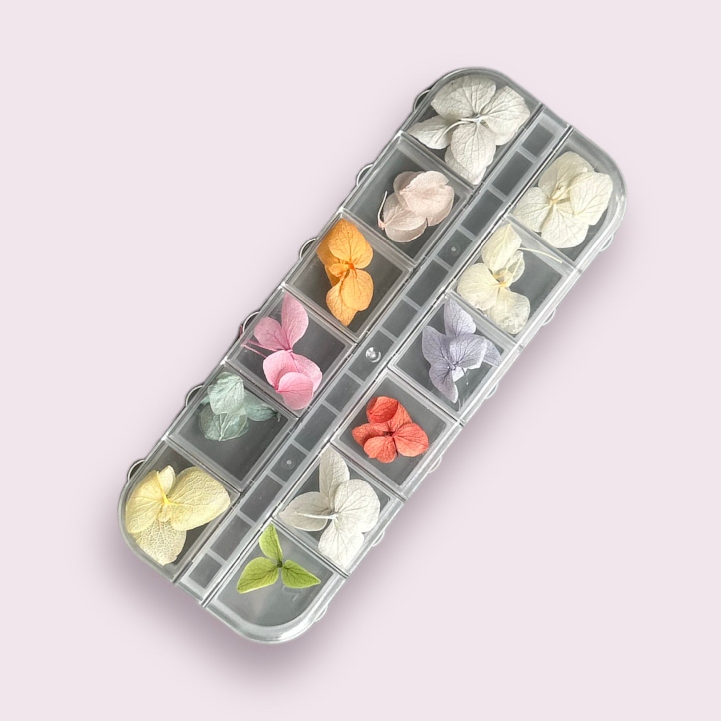Dried flowers for nail design, 12 colors (Large)