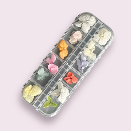 Dried flowers for nail design, 12 colors (Large)