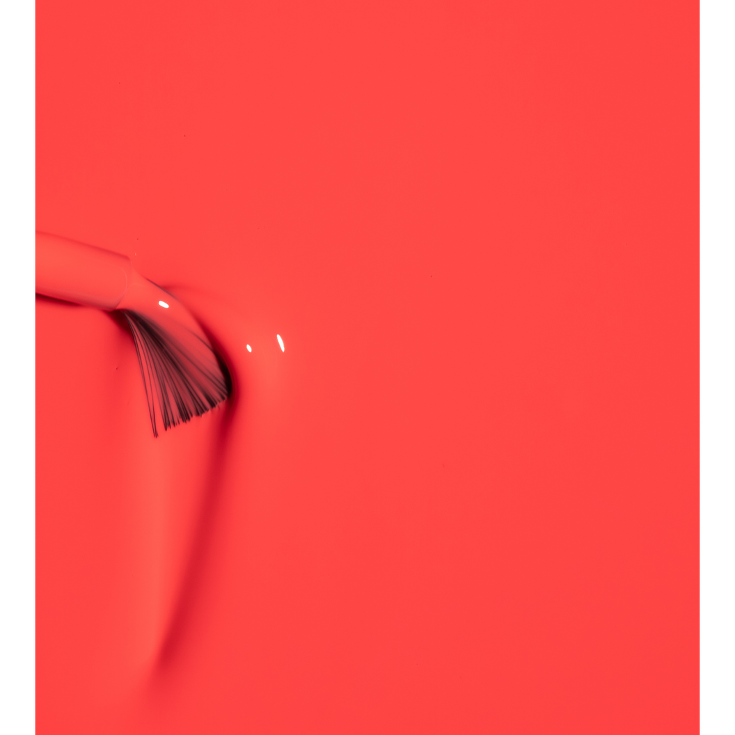 LUXIO ®  by AKZENTZ - (New!) IGNITE - 2026 STUDIO Nº15 COLLECTION