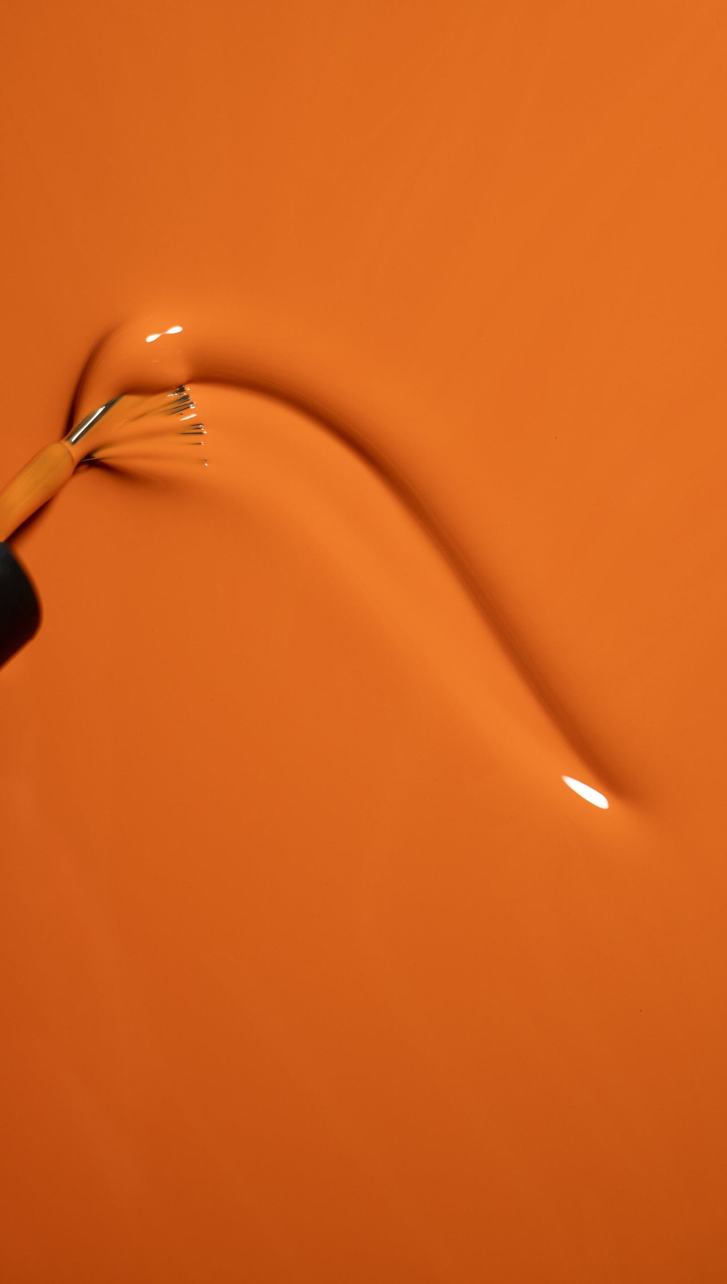 LUXIO ®  by AKZENTZ - (New!) ENERGY - 2026 Late Checkout Collection