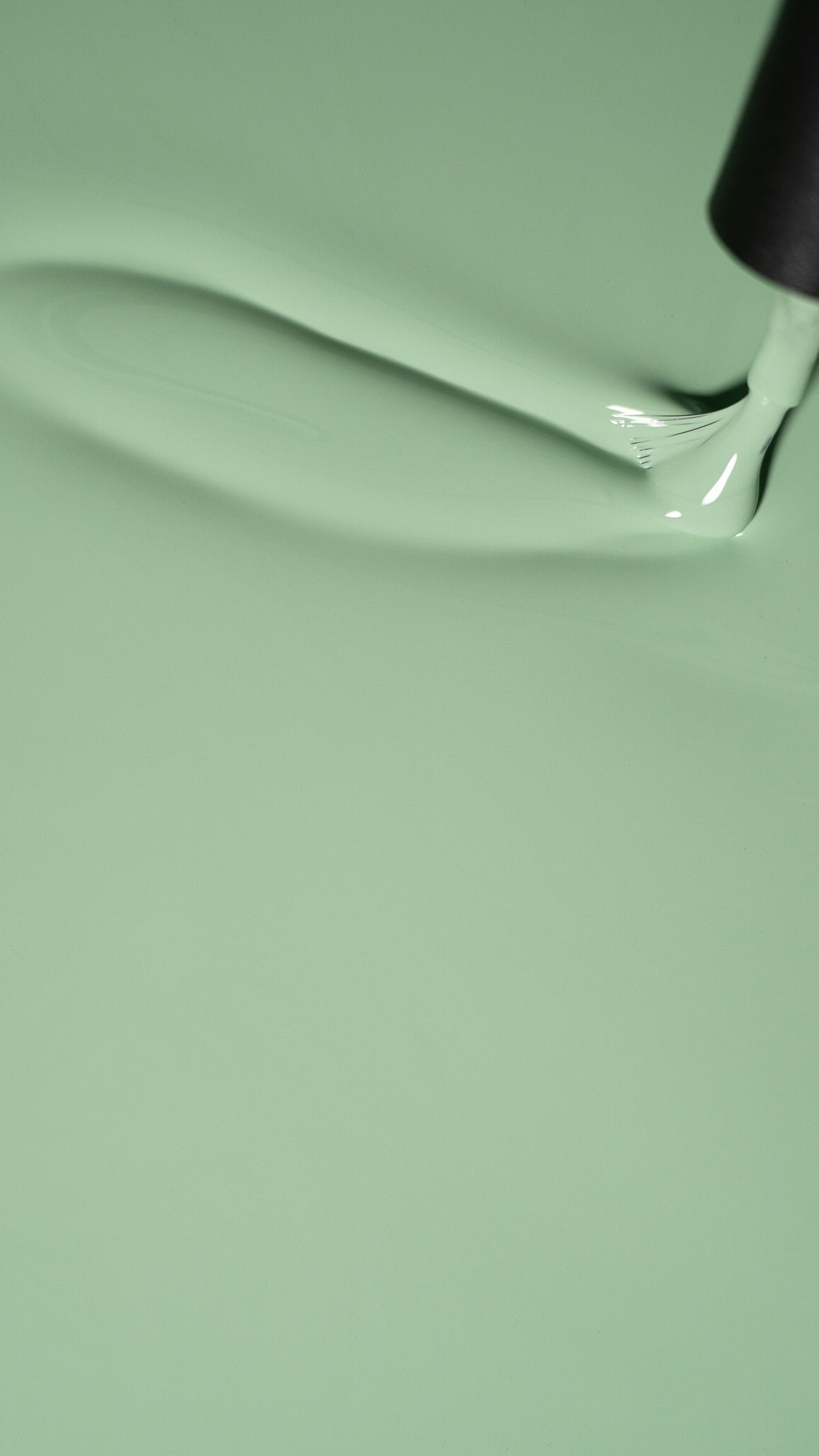 LUXIO ®  by AKZENTZ - (New!) FRESH - 2026 Late Checkout Collection