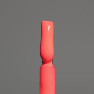LUXIO ®  by AKZENTZ - (New!) IGNITE - 2026 STUDIO Nº15 COLLECTION