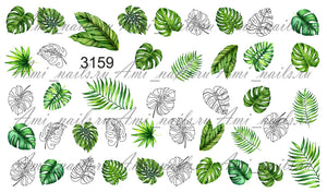 Slider 3159