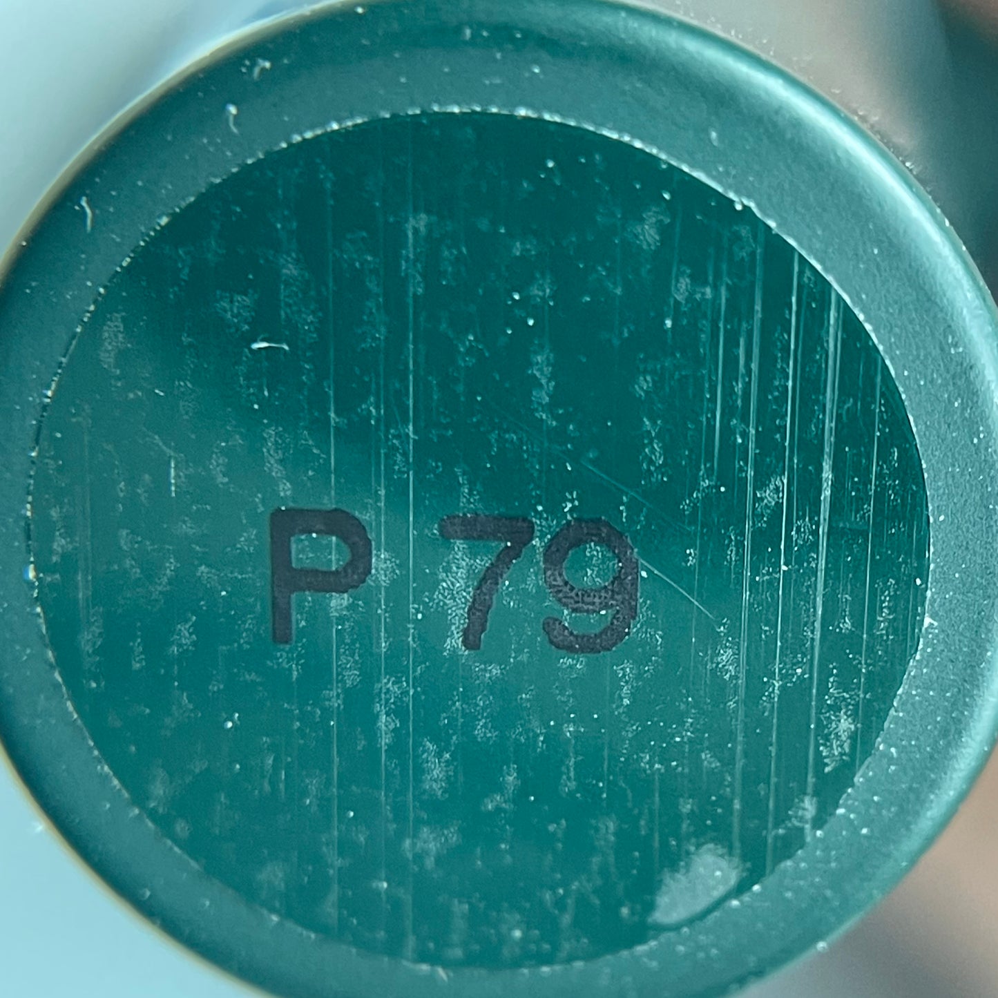 PLIY Gel Color P79 (10 g)