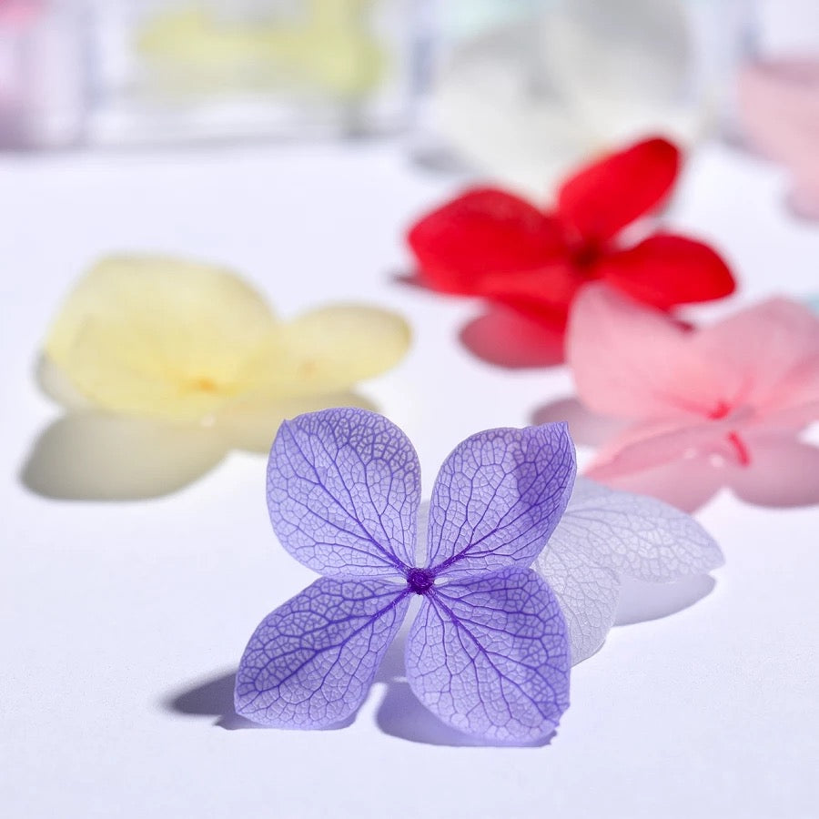 Dried flowers for nail design, 12 colors (Large)