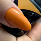 LUXIO by AKZENTZ - INSTINCT Gel Color