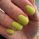 LUXIO by AKZENTZ - FLAIR Gel Color