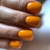 LUXIO by AKZENTZ - INSTINCT Gel Color