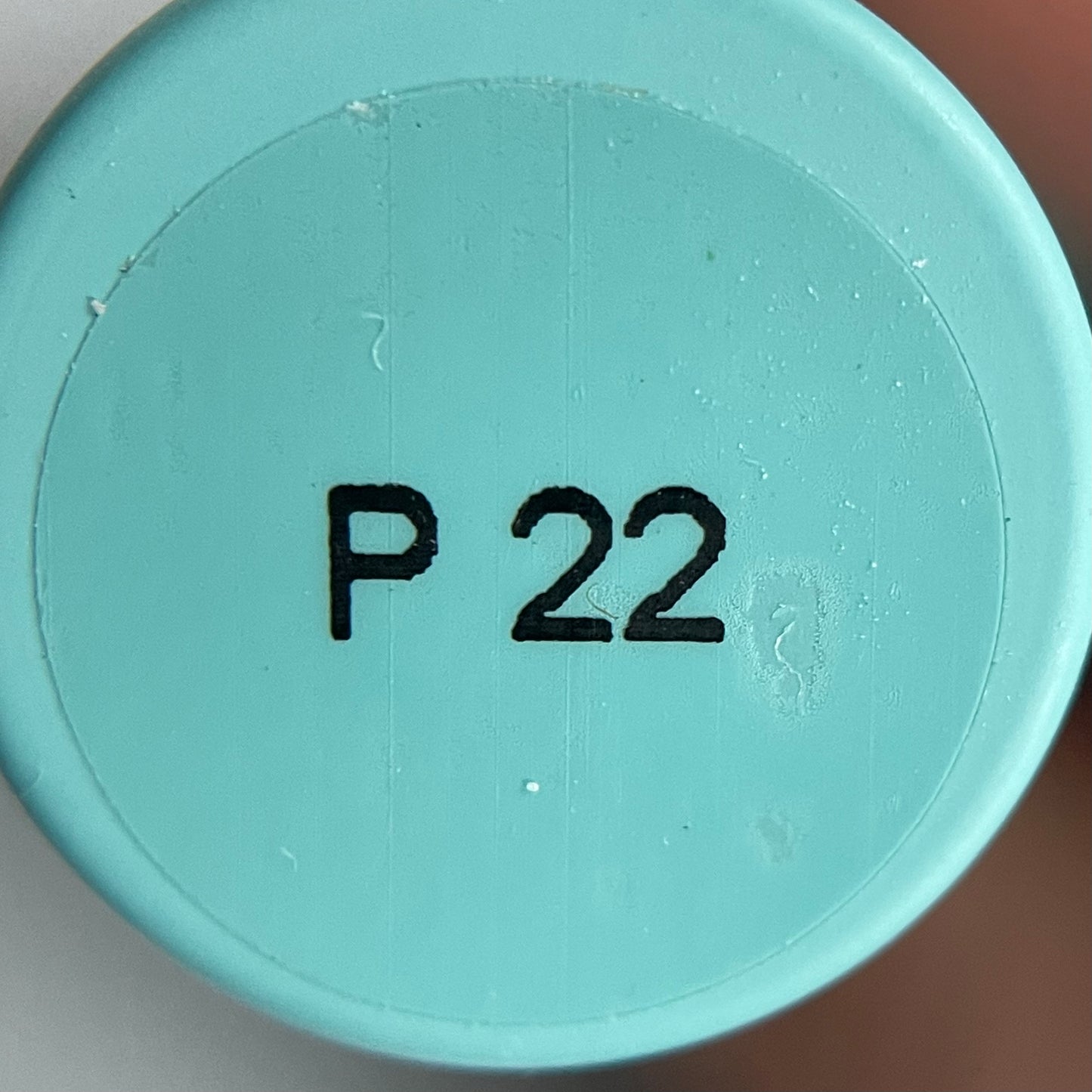 PLIY Gel Color P22 (10 g)