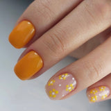 LUXIO by AKZENTZ - INSTINCT Gel Color