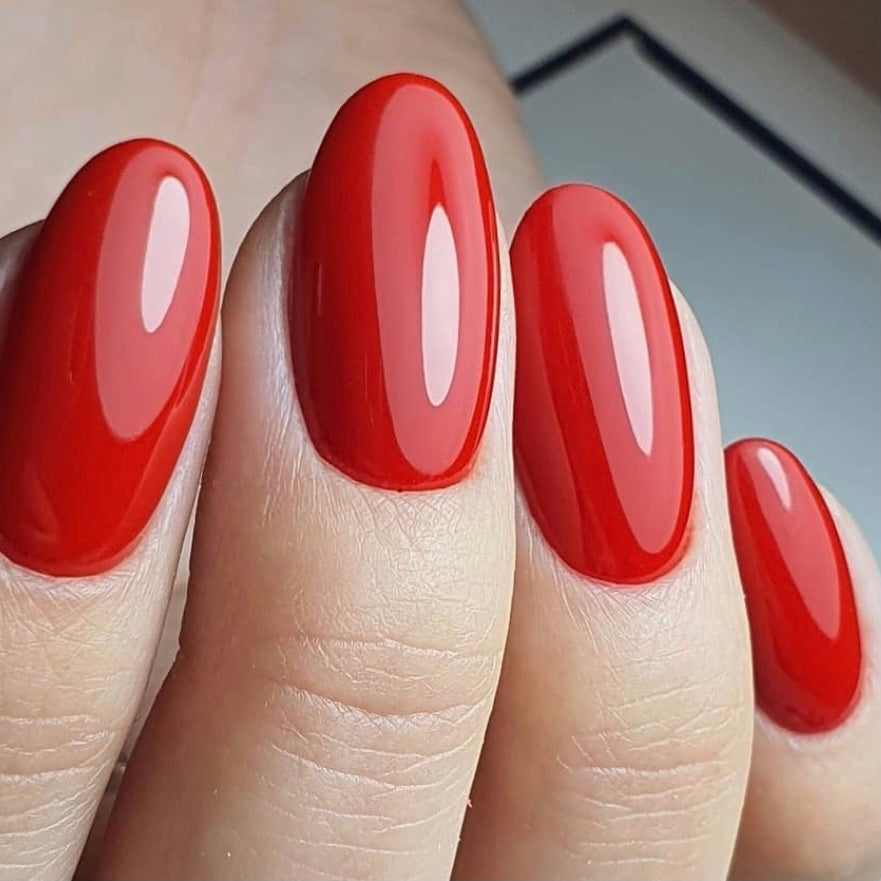 LUXIO by AKZENTZ - STRUT  Color Gel