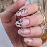 Slider Foil 51