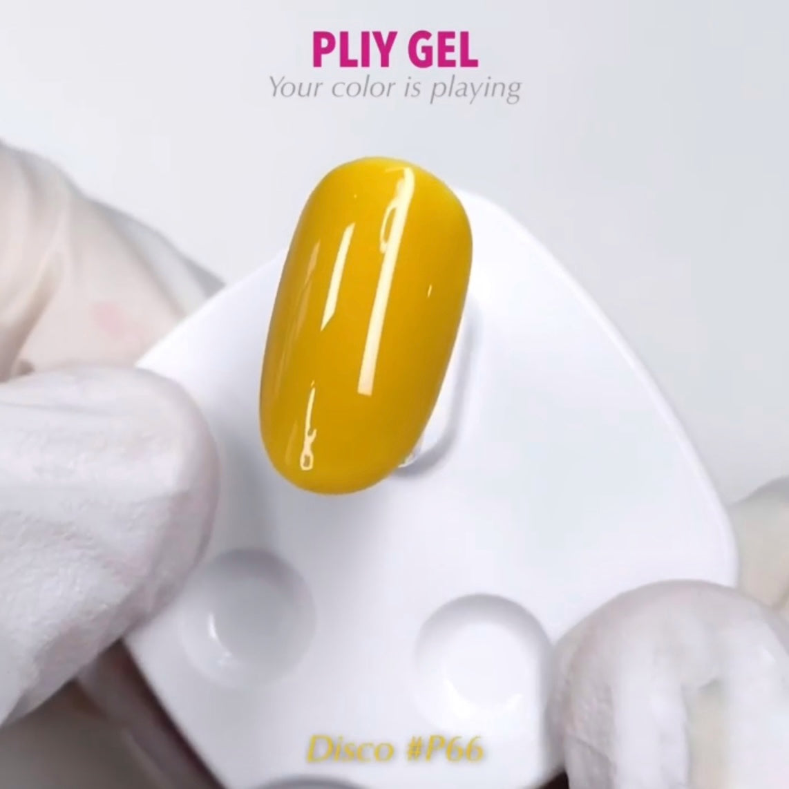 PLIY Gel Color P66 (10 g)