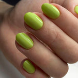 LUXIO by AKZENTZ - FLAIR Gel Color