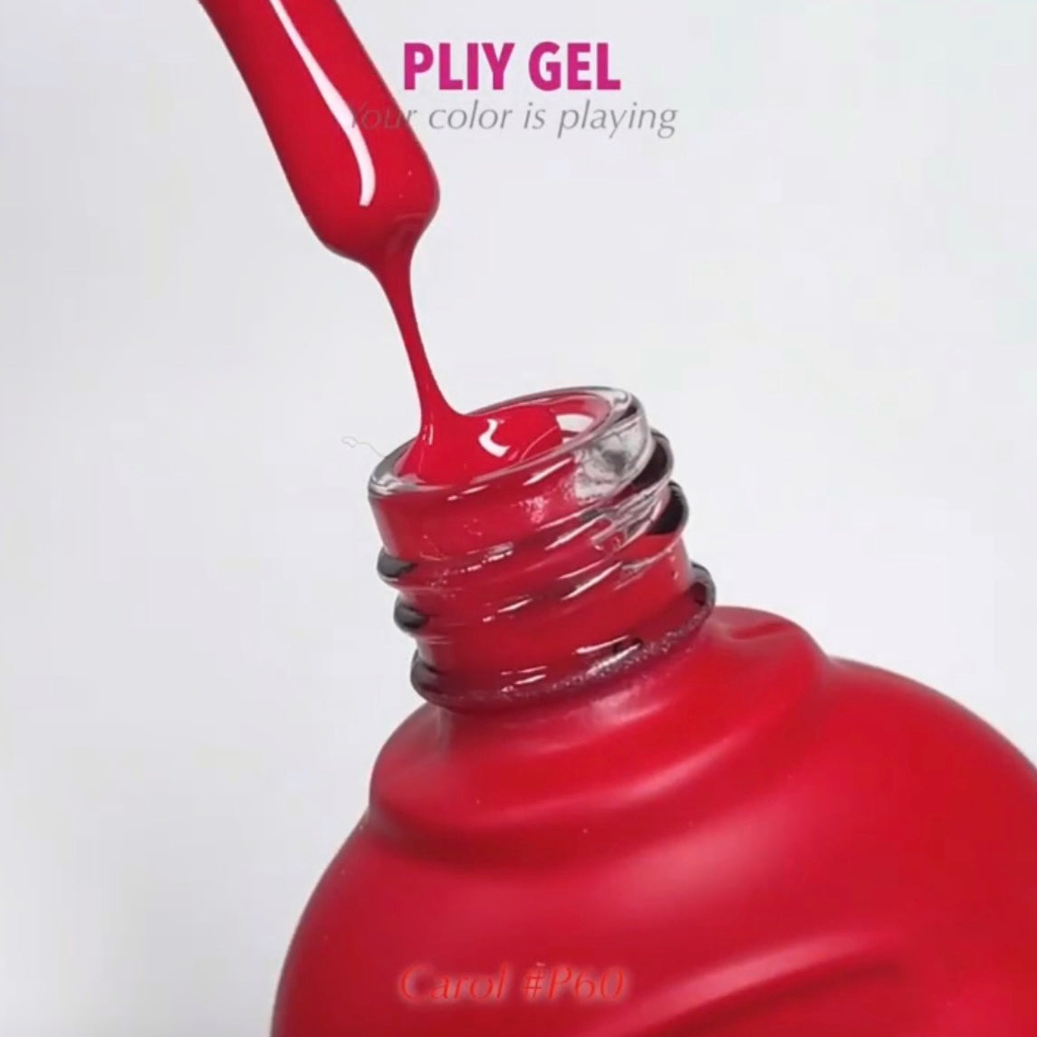 PLIY Gel Color P60 (10 g)