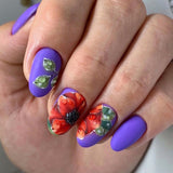 LUXIO by AKZENTZ - ICON Color Gel