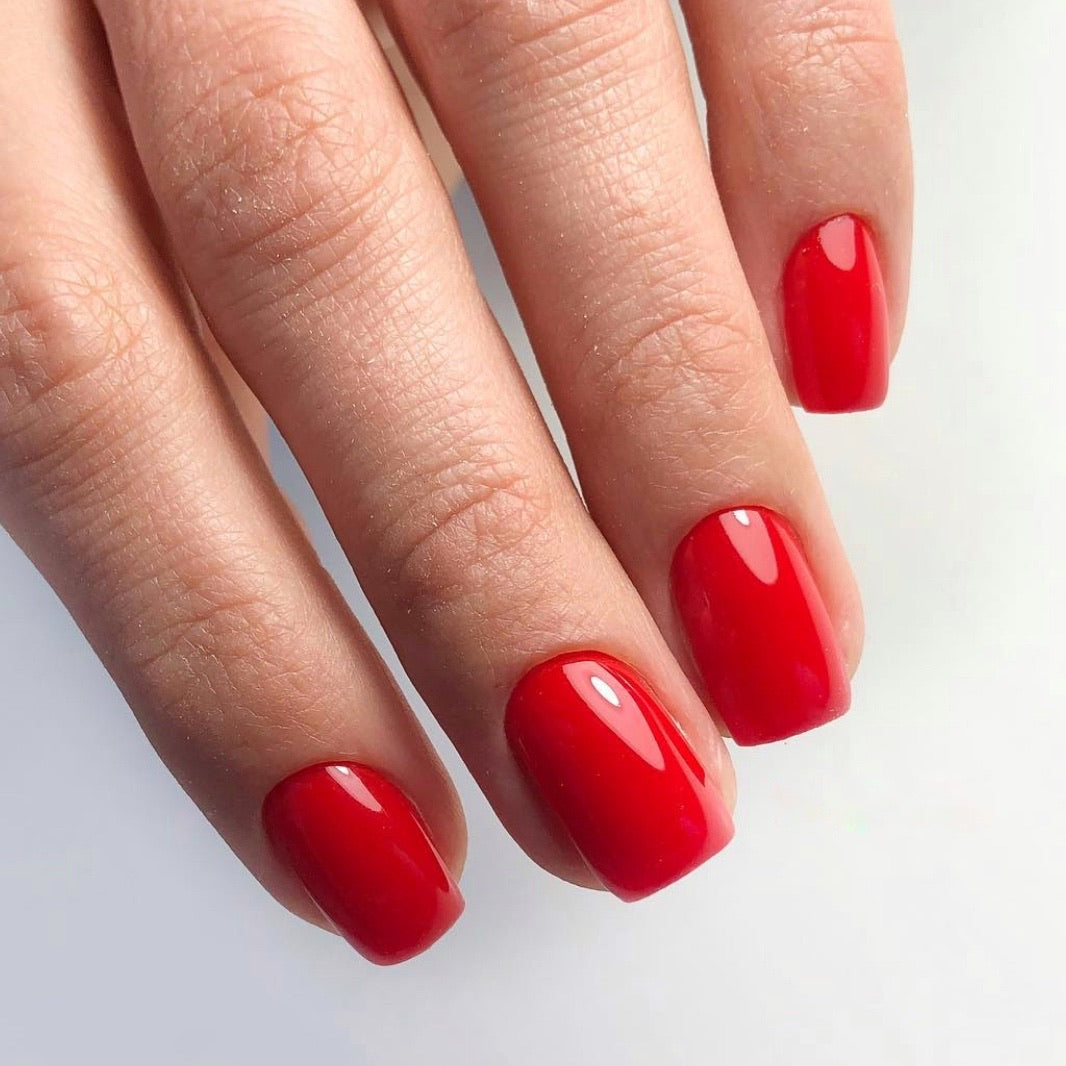 LUXIO by AKZENTZ - PREROGATIVE Gel Color