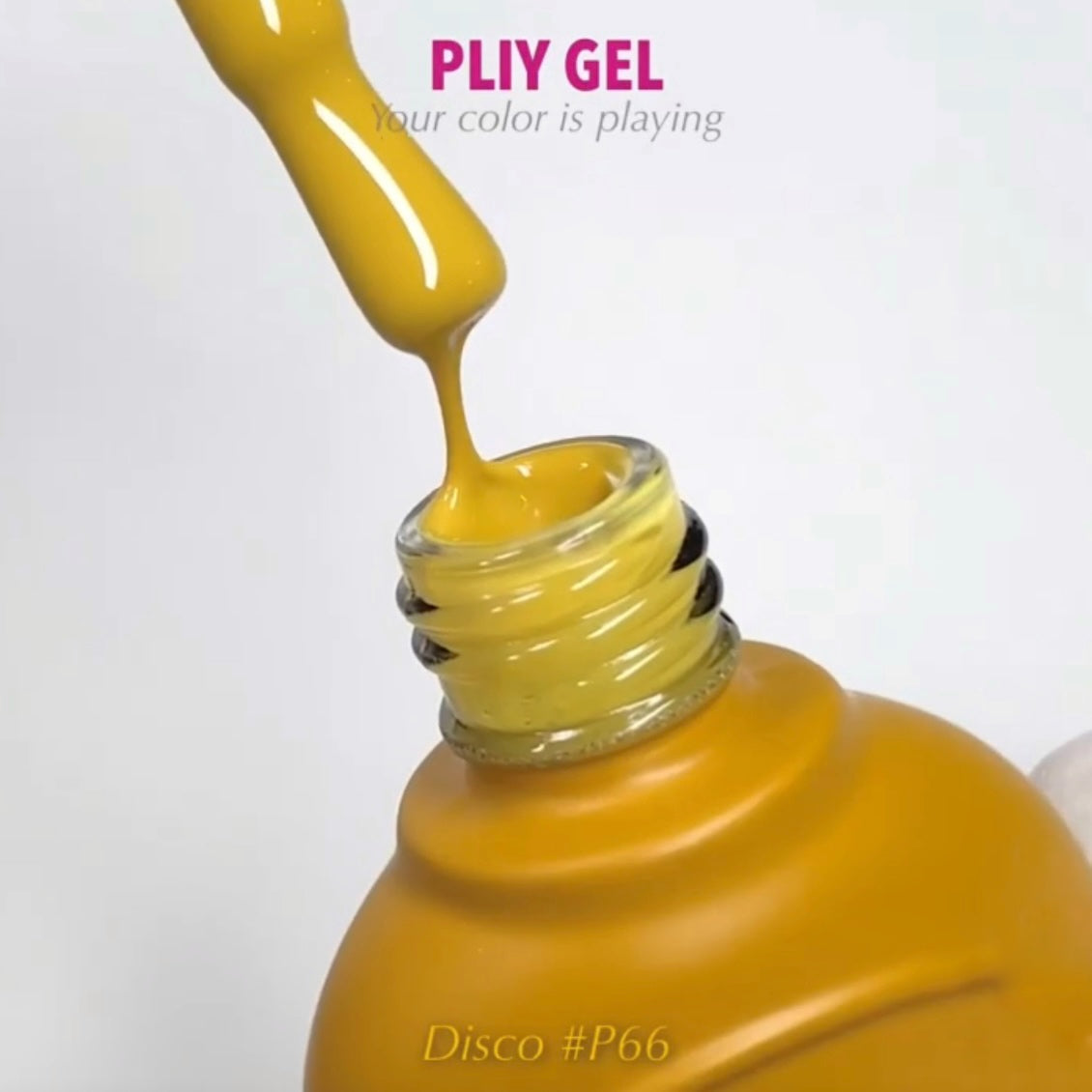 PLIY Gel Color P66 (10 g)