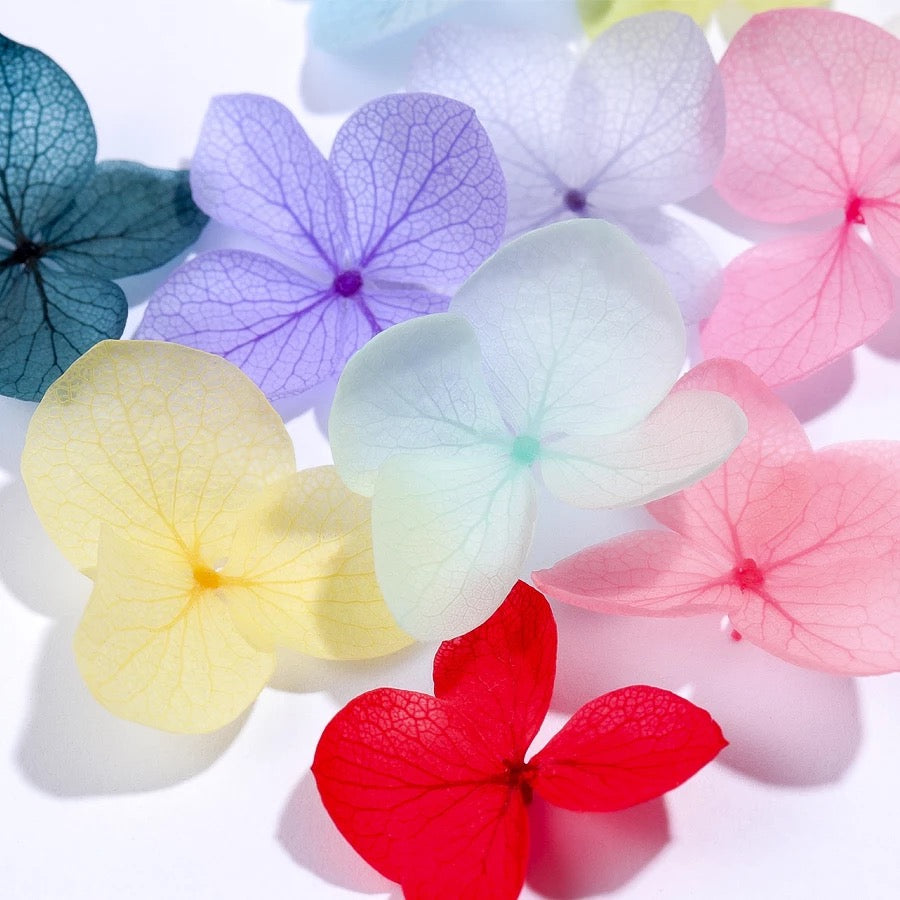 Dried flowers for nail design, 12 colors (Large)