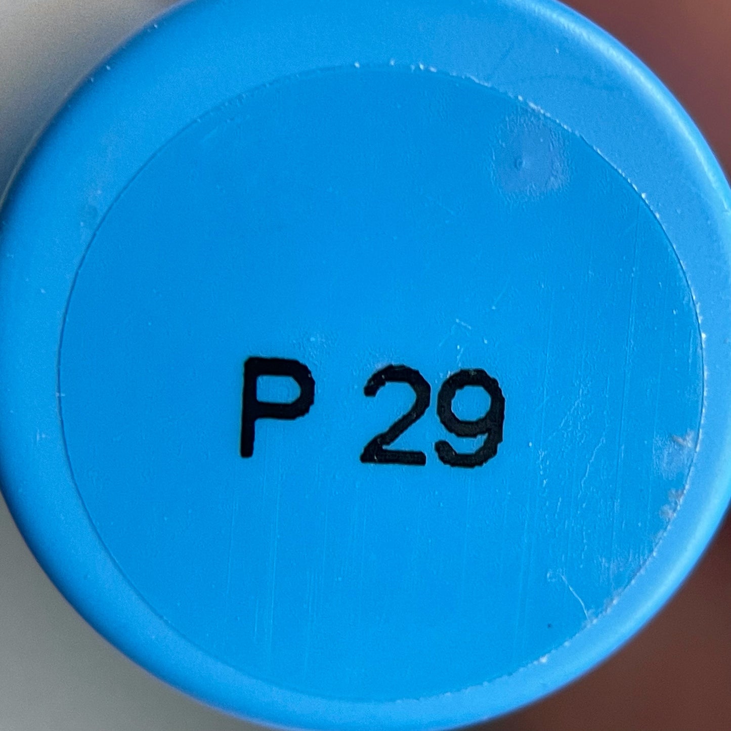PLIY Gel Color P29 (10 g)