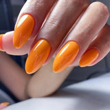LUXIO by AKZENTZ - INSTINCT Gel Color